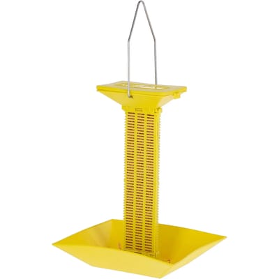 Boîte met aas voor vliegen Kerbl
