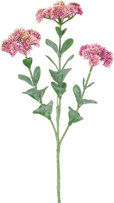 Easyplants | Kunsttak Sedum 56 cm lichtroze | Zijde | Nepbloemen | lichtroze | Onderhoudsvrij | Kant-en-klaar