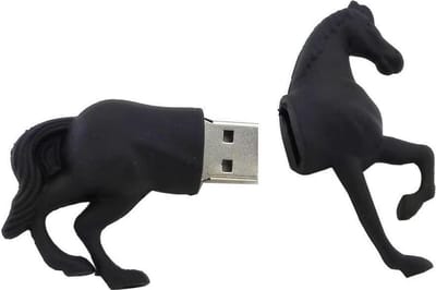 Paard usb stick 128GB 3.0 zwart - 1jaar garantie - A graden chip