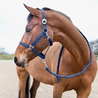 Basis paardenkoord Horze