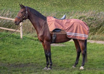 Uitrijdeken Waterdicht 0gr Fleece WI24 - Bijna Uitverkocht!