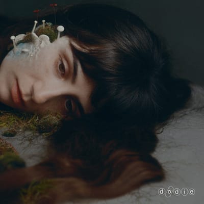 Dodie - Not For Lack Of Trying (LP) (Black Eco)