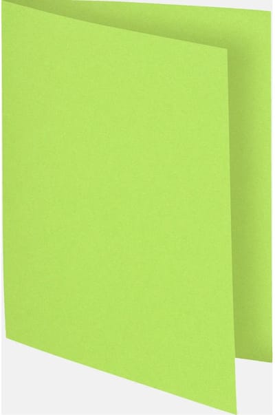 Exacompta 5x FLASH 220 Pak van 100 mappen -100%gerecycleerd - 24x32cm - Lindengroen - 160013E