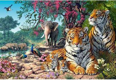 TOPMO - Tijger Reservaat - 40X50CM - Diamond painting pakket - HQ Diamond Painting - VOLLEDIG dekkend - Diamant Schilderen - voor Volwassenen – ROND