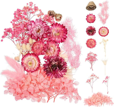 SolidKeus - Natuurlijke Gedroogde Rozen voor DIY Decoratie en Ambachten