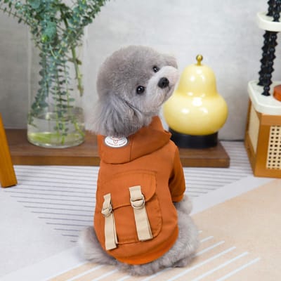 Vêtements d'hiver pour chiens à deux pattes en coton, veste pour chiots, manteau pour petits chiens, chats, chihuahua, yorkshire, costume coupe-vent pour animaux de compagnie S