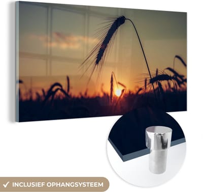 MuchoWow® Glasschilderij 40x20 cm - Schilderij acrylglas - Gras - Herfst - Zonsondergang - Seizoenen - Landschap - Foto op glas - Schilderijen