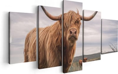 Artaza Canvas Schilderij Vijfluik Schotse Hooglander Koeien In De Wei - 100x50 - Foto Op Canvas - Canvas Print
