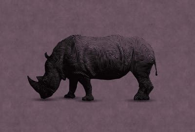 Fotobehang rhino 2 DD110506 Livingwalls Walls by Patel | Fotobehang online webshop