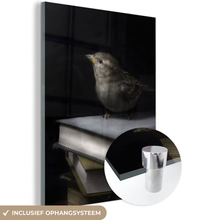 MuchoWow® Glasschilderij 120x160 cm - Schilderij acrylglas - Vogel - Boeken - Portret - Foto op glas - Schilderijen