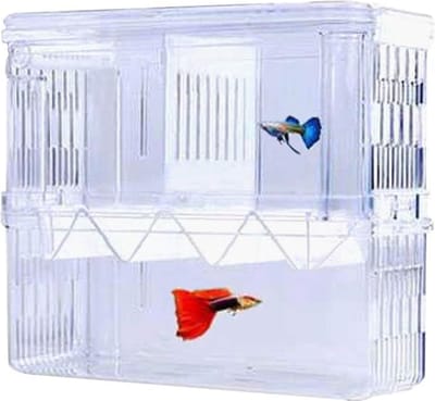Lexium Kweekbakje vissen - Vissen kweekbakje - Aquarium voor uibroeden vis eitjes