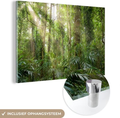 MuchoWow® Glasschilderij 60x40 cm - Schilderij acrylglas - Licht in het woud - Foto op glas - Schilderijen