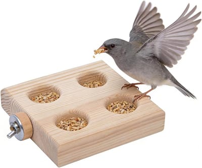 Vogel Foerageerspeelgoed - Natuurlijk Houten Spel - Stimuleert Natuurlijk Gedrag - Snavel en Klauwonderhoud