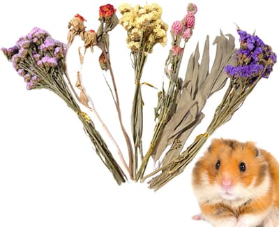 Hamster Beddengoed - Kooi Decoratie - Dierenverblijf Inrichten - Natuurlijke Bloemen Grassen - Ongeveer 25cm