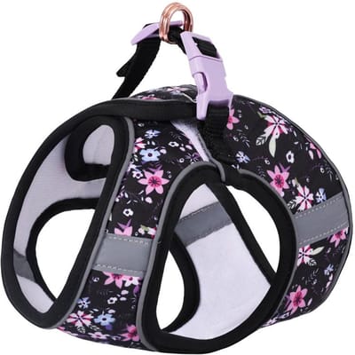 Honden Verstelbaar Tuigje Leash Set Voor Kleine Honden Tuigje Vest Reflecterend Puppy Borstband Huisdier Wandelen Buiten Puppy Leash (as the picture,M)