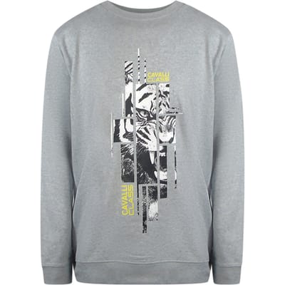 Cavalli Class Splintered Tiger Grafisch Grijs Sweatshirt