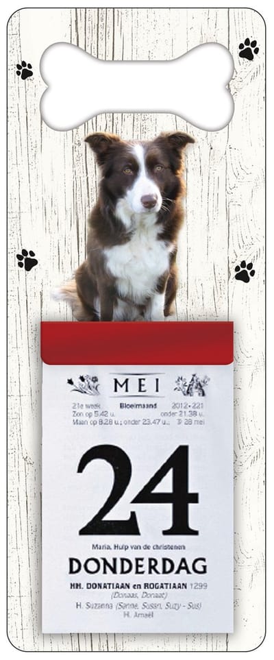 Scheurkalender 2027 Hond: Bordercollie