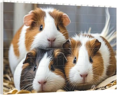 Bouwstenen Puzzel - Mini Blokken - Decoratie Woonkamer - Gepersonaliseerde Foto - 144 x 08 x 98 cm - Guinee Varkens
