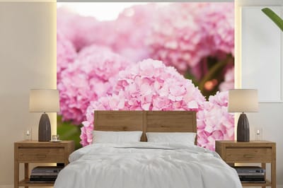 Behang - Fotobehang Struik - Bloemen - Roze - Hortensia - Breedte 350 cm x hoogte 350 cm
