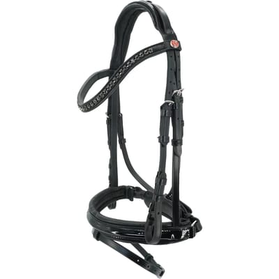 Hoofdstel Kieffer Comfort Profi with square chrome buckle