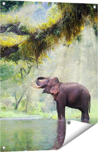 Gards Tuinposter Vrolijke Olifant in het Water - 60x80 cm - Tuindoek - Tuindecoratie - Wanddecoratie buiten - Tuinschilderij