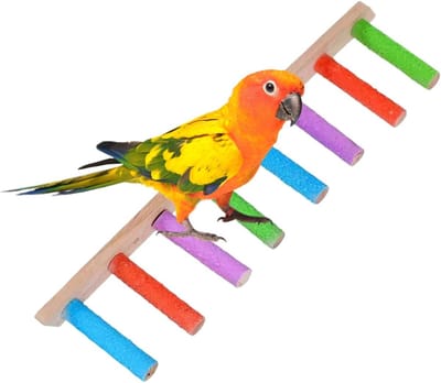 Vogelkooi Ladder - Speelgoed Swing - Vogel Training - Hout Materiaal - Niet Gespecificeerd - Multicolor