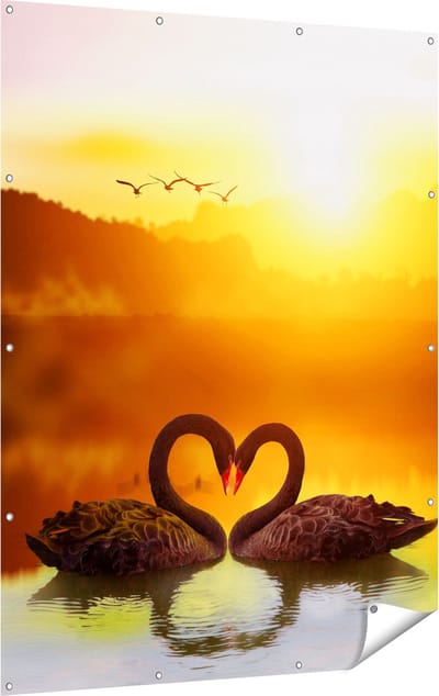 Gards Tuinposter Twee Zwarte Zwanen in een Hart Vorm - 120x160 cm - Tuindoek - Tuindecoratie - Wanddecoratie buiten - Tuinschilderij