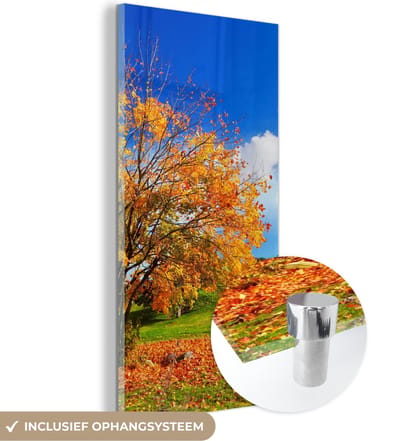 MuchoWow® Glasschilderij 20x40 cm - Schilderij acrylglas - Boom - Bladeren - Herfst - Seizoenen - Foto op glas - Schilderijen