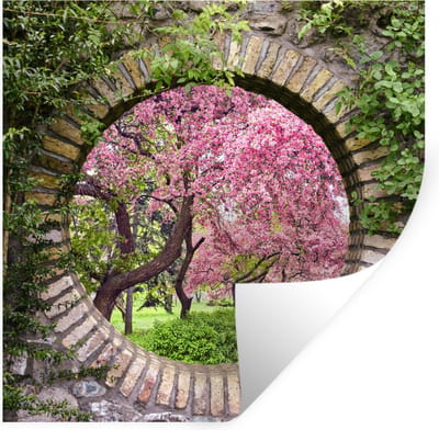 Muurstickers - Sticker Folie - Doorkijk - Sakura - Bloesem - Japans - 100x100 cm - Plakfolie - Muurstickers Kinderkamer - Zelfklevend Behang XXL - Zelfklevend behangpapier - Stickerfolie