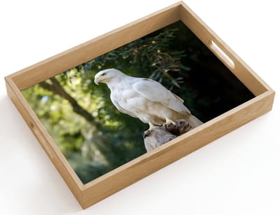 Dienblad hout 40x30 cm - Schootdienblad - Arend - Hout - Wit - Planten - Borrelplank rechthoek - Plateau dienbladen