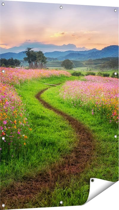 Gards Tuinposter Kosmos Bloemenveld met een Pad - Bloemen - 80x120 cm - Tuindoek - Tuindecoratie - Wanddecoratie buiten - Tuinschilderij