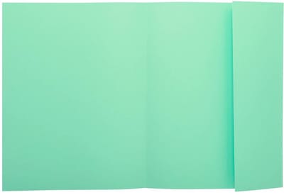 Exacompta 5x SUPER 160 Pak van 100 mappen met 1 klep - 24x32cm - - Lichtgroen - 348004E