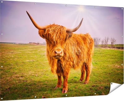 Gards Tuinposter Bruine Schotse Hooglander Koe - Kleur - 180x120 cm - Tuindoek - Tuindecoratie - Wanddecoratie buiten - Tuinschilderij