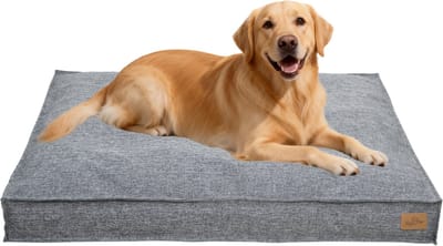 BingoPaw Modern Orthopedisch Hondenkussen XXL - 118 x 89 x 12 cm - Dik Hondenbed - Afneembare en Wasbare Hoes - Waterafstotend & Antislip - Grijs