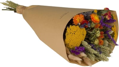 Plantenboetiek.nl | Droogboeket - Veldbloemen - Oranje - Ø30cm - 50-60cm hoog - Bloemen - Droogbloemen