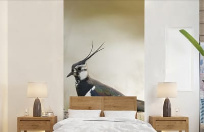 Behang - Fotobehang Vogel - Gras - Dieren - Natuur - Kievit - Breedte 120 cm x hoogte 240 cm