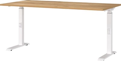 Bureau Galileo Eiken - Wit - 160x80cm - Hoogte 91 cm - In hoogte verstelbaar