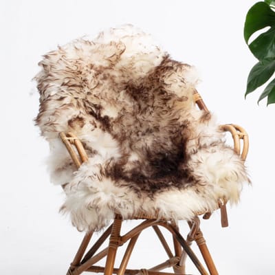 SHEEPY® | Schapenvacht | Lukaš (Bruin Wit) M (100-105cm) - Sheepy.cc