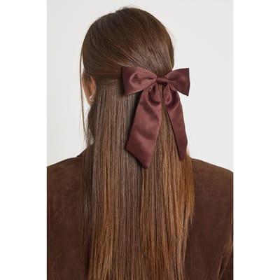 boohoo Dames Satijn Chocolade Haarstrik Clip | Chocoladebruin