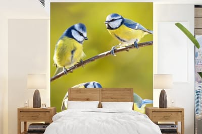 Behang - Fotobehang Vogel - Pimpelmees - Takken - Zon - Breedte 160 cm x hoogte 220 cm