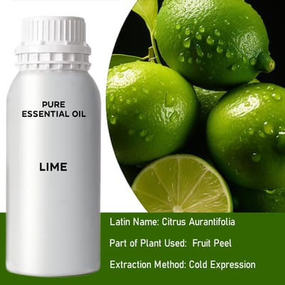 Ancient Wisdom - Luchtverfrisser navulling - spearmint essentiële olie 10x 10ml - geur - aromatherapie - natuurlijke boost - mentale helderheid - DIY producten