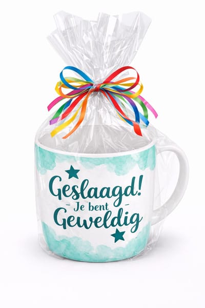 Mok - Koffie - Cadeau - Traktatie - Geslaagd Je Bent Geweldig - Keramiek - Cadeauverpakking met gekleurd lint