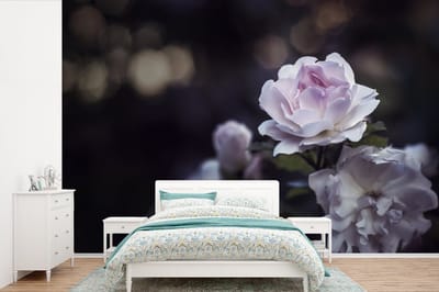 Behang - Fotobehang Rozen - Bloemen - Nacht - Breedte 600 cm x hoogte 400 cm