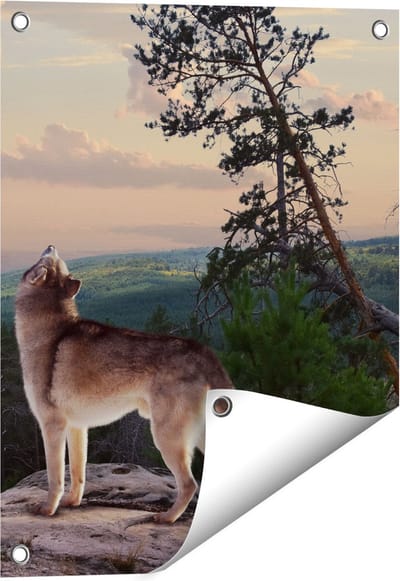 Gards Tuinposter Drie Wolven op een Rots in het Bos - 40x50 cm - Tuindoek - Tuindecoratie - Wanddecoratie buiten - Tuinschilderij