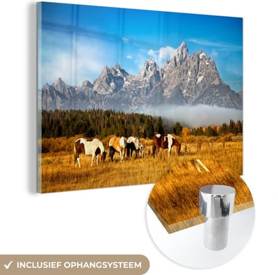® Glasschilderij 180x120 cm - Schilderij acrylglas - Paarden op de weiden voor het Tetongebergte in Wyoming - Foto op glas - Muurdecoratie woonkamer - Wanddecoratie slaapkamer - Schilderijen