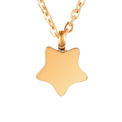 Quiges - RVS - Ashanger - Goudkleurig - Urn - Star - - Met - Verstelbare - Ketting - 45 - 50cm en vulsetje - Asketting - As sieraad - SLSA040