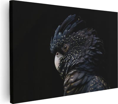 Artaza Canvas Schilderij Zwarte Vogel - 30x20 cm - Klein - Wanddecoratie Dieren - Muurdecoratie Papegaai - Kamer Accessoires