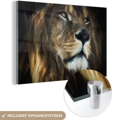 MuchoWow® Glasschilderij 120x80 cm - Schilderij acrylglas - Leeuw - Vacht - Zwart - Foto op glas - Schilderijen