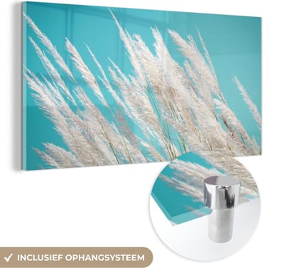 MuchoWow® Glasschilderij 40x20 cm - Schilderij acrylglas - Pampasgras - Plant - Plant - Foto op glas - Schilderijen
