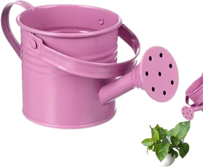 Tuingieter Metaal - Waterkannetje Decoratief - Planten Water Geven - Roestvrij Ontwerp - 20 x 6 x 6 cm - Roze